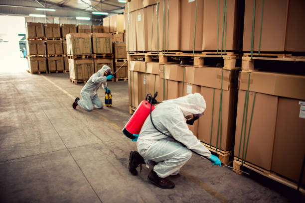 Best Mosquito Control Services  in Plainview, TN