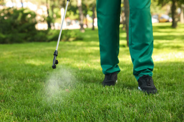 Best Wasp Removal Services  in Plainview, TN