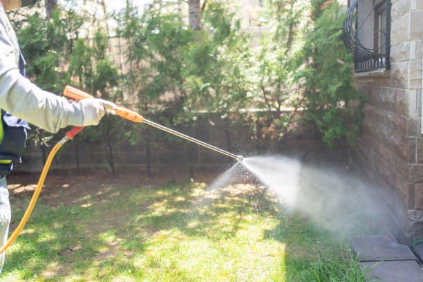 Best Termite Control Services  in Plainview, TN