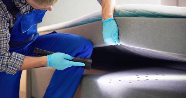 Best Pest Control for Restaurants  in Plainview, TN