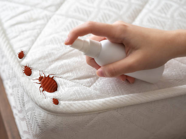 Pest Control for Restaurants in Plainview, TN