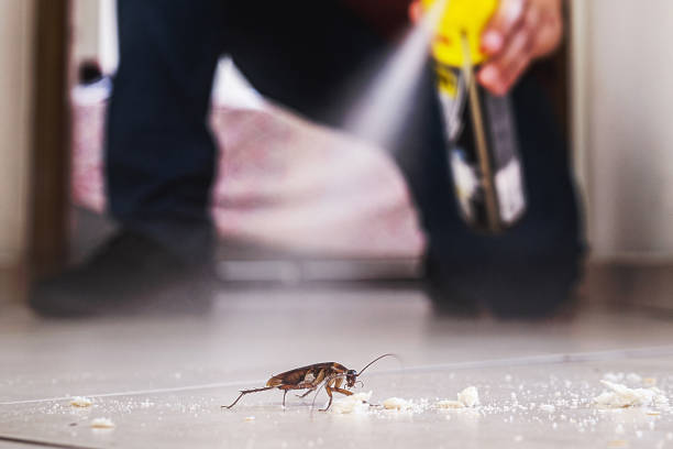 Best Pest Removal Services  in Plainview, TN